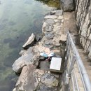 냉천약수터 이미지