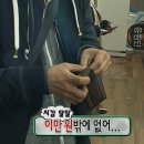 글로우(Glow) | 더글로우 2026 <The glow> 다녀온 후기 / 실내 페스티벌 추천