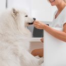 서동물병원 이미지