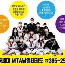 한국체대 MTA 태권도 이미지