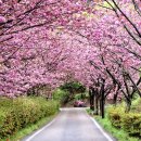 청미목장 이미지