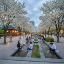 유성구청 별관1층 | 대전 유성 가볼만한곳 총정리! 족욕부터 과학체험, 맛집, 1박2일 코스 완벽 가이드