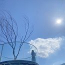 다모아힐링 이미지