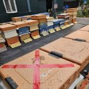 신왕농장 이미지