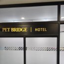 펫브릿지 김해점 이미지