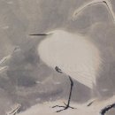 하야로비 이미지