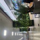 파리바게뜨종합터미널점 이미지