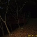 안영2 이미지