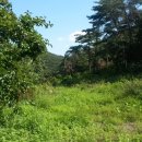 당산농장 이미지