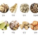 돼지본가식품