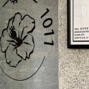 일공일일(1011) 네이버블로그