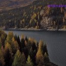 소망재가장기요양센터 이미지