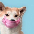 양구동물병원 이미지