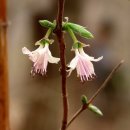 검단산 관광안내소 이미지