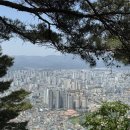 심분열보쌈식족발 경산점 | 5월 일기 레츠고 ~ ♬