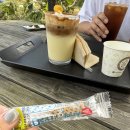 수림재 | [청주 근교 애견 동반 숙소·괴산 수림재]내돈내산 가을여행 괴산 애견 펜션ㅣ애견 동반 카페 쉼터 청천...