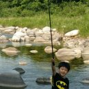 계곡 민박 Daum카페