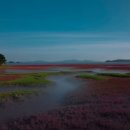 후크선장과 바다낚시 이미지