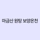 마금산자연온천