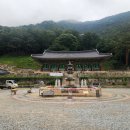 동해시-25 이미지