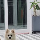 살랑가협동조합 이미지