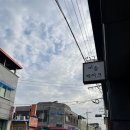 미듬케이크 이미지