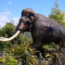 맘모스 이미지