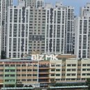 도안센트럴부자공인중개사사무소 이미지