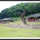 파평용연 이미지