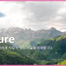 에스이에이 이미지