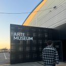 🎨 제주 아르떼뮤지엄 솔직 방문 후기! ✨