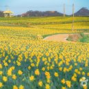 선도민박 이미지