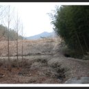 성도리석불입상 이미지