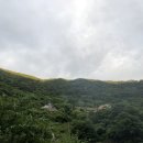 지리산별담 이미지