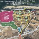 평화강변 수목캠핑장 이미지