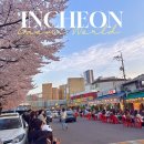 마장로55번길 | 인천 부평 삼겹살 야장 추천 벚꽃야장 밴댕이공원마차 후기