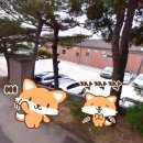 진부령 한증막 이미지