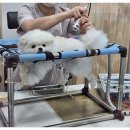 데일리 동물의료센터 이미지