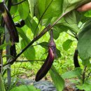 미서농장 이미지