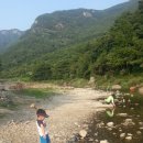 솔바람오토캠핑장 이미지