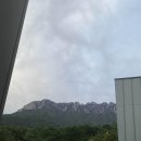 델피노 이미지