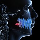 이좋은수치과의원 이미지
