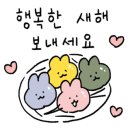 포비 펫 살롱 이미지