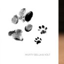 너와함개 이미지