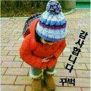 무제 이미지