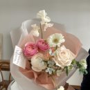 플레지르플라워 네이버블로그