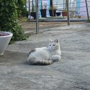 바람의언덕 동해타파스 와인&비어 이미지