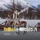 사미 | 노르웨이 트롬쇠 사미족 마을 투어 후기｜ 순록 먹이주기와 순록 썰매체험 예약 방법