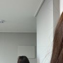플렉스스타일 | 최신상 샤크 플렉스스타일 구매 후기 feat. 공동구매