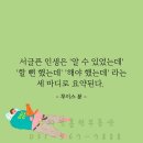 수자인홈런공인중개사사무소 이미지